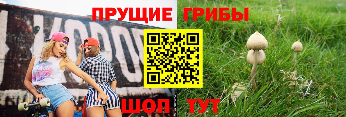 Ликино-Дулёво  Галлюциногенные грибы Psilocybine cubensis  Галлюциногенные грибы мухоморы  Вход с VPN 